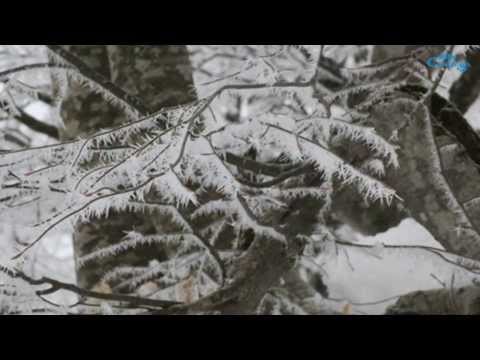 Camp.Ge  თოვლიანი ლომისა 23 თებერვალი 2014 წ.