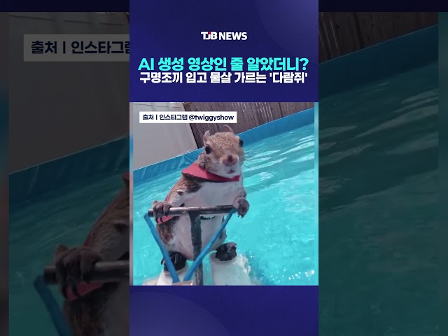 AI 생성 영상인 줄 알았더니? 구명조끼 입고 물살 가르는 '다람쥐'｜ TJB 대전·세종·충남뉴스