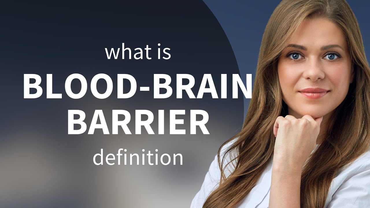 Bloodbrain barrier • BLOODBRAIN BARRIER definition YouTube