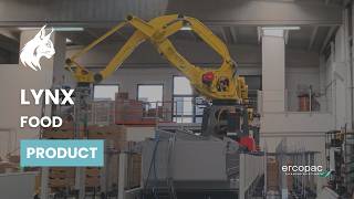Dual-Line Robotic Palletizing System | Custom End-of-Line Automation by Ercopac