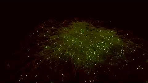 Blender Ivy Curve Brain Simulation