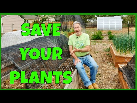 Video: Watherproofing Gardens - Protejarea împotriva elementelor meteorologice din grădină