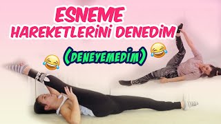Bir Jimnastikçinin Esneme Rutinini Denedim Başlangıç Seviyesi Başlayamadım