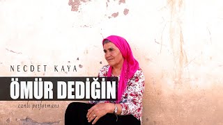 Necdet Kaya - Ömür Dediğin Resimi