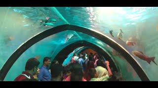 Oceanos Underwater Tunnel Expo, Pala