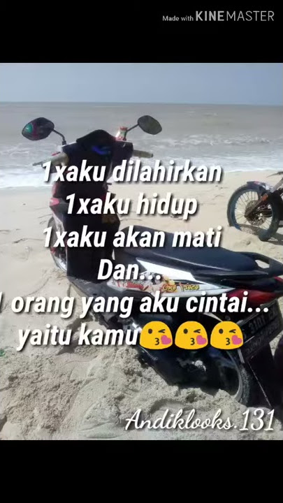 Story anak babylooks