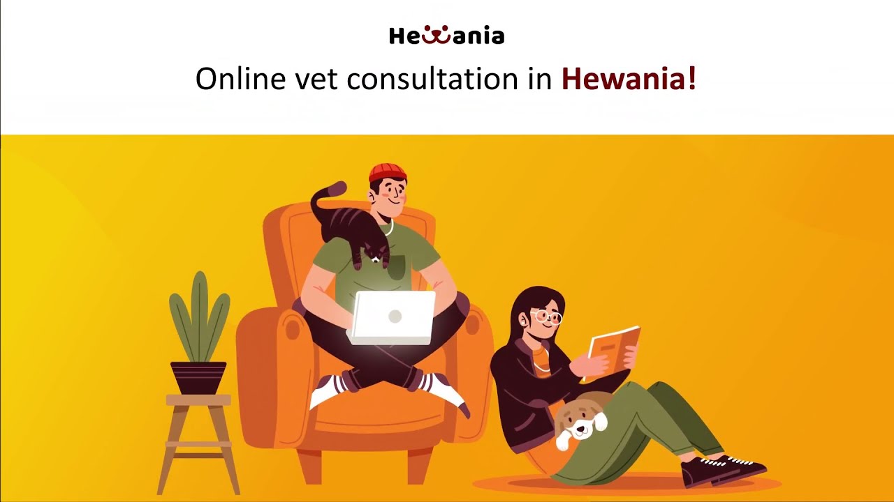 Tutorial Hewania Apps | Portfolio