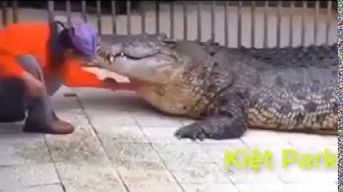 Việc nhẹ lương  cao cho những anh em đang thất nghiệp đây||kiệt park|thánh lồng tiếng