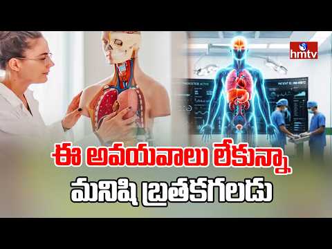 ఈ అవయవాలు లేకున్నా మనిషి బ్రతకగలడు! | You Can Live Without These Organs | TO THE POINT | hmtv - HMTVNEWS