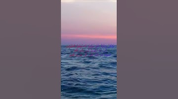 سورة البقرة اية 148 - مع صوت البحر بصوت جميل - وَلِكُلٍّ وِجْهَةٌ هُوَ مُوَلِّيهَا