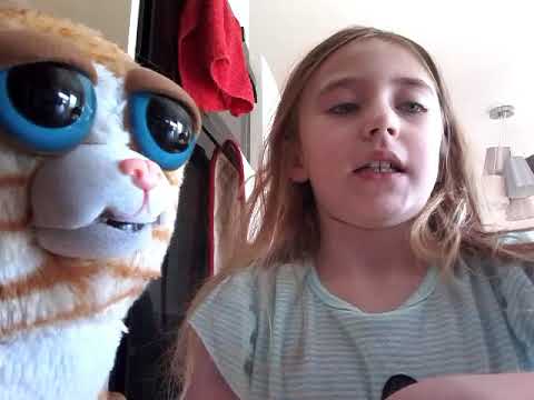 Fiesty pet guide - YouTube