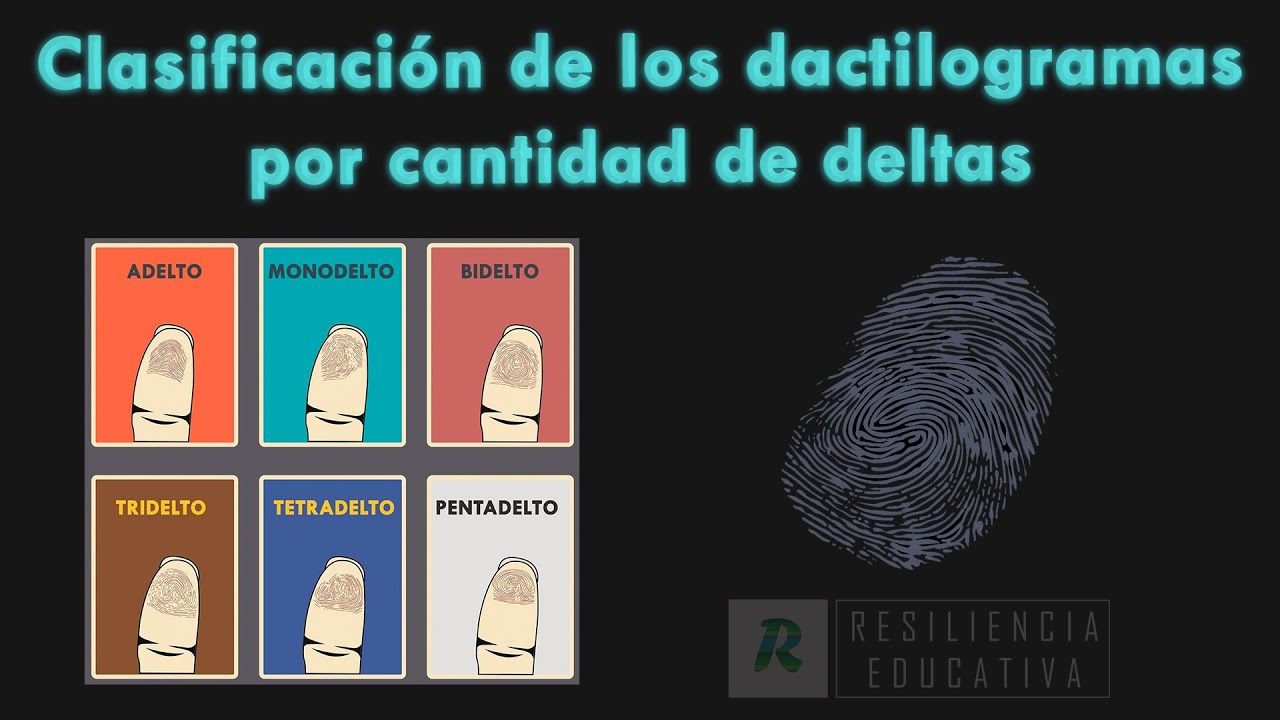 Clasificación de los dactilogramas por cantidad de deltas - YouTube