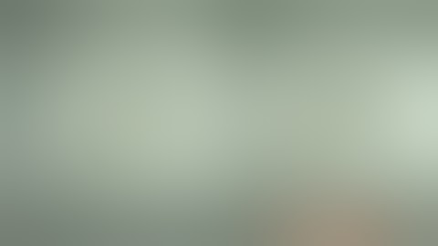 I interrupt Mr. Lightningtastic The MLP Fan 2022