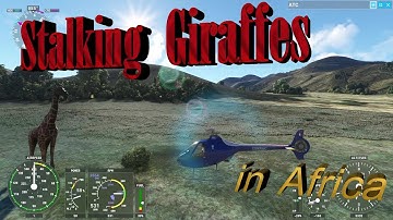 MSFS 2020 - Giraffes in Africa (Helicopter view)