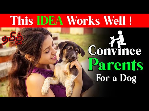 How To Convince Your Parents To Get A Dog  in Tamil