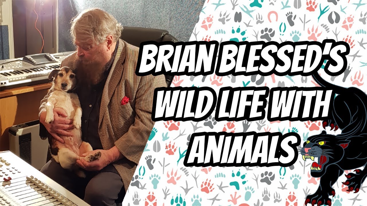 Brian Blessed's Wild Life With Animals | 