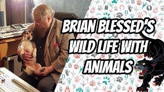 Brian Blessed's Wild Life With Animals | #BookBreak Special Edition