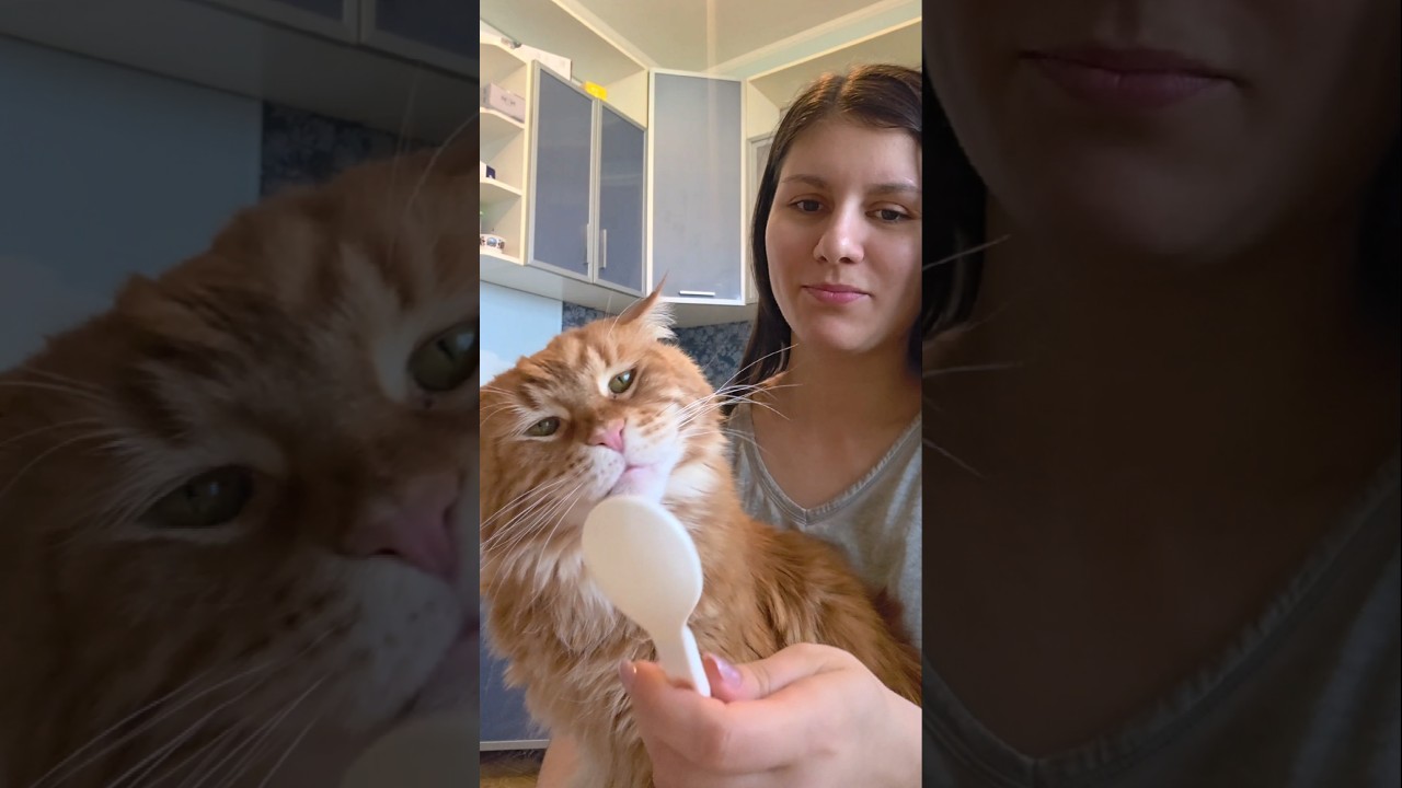 профессия попрошайки 