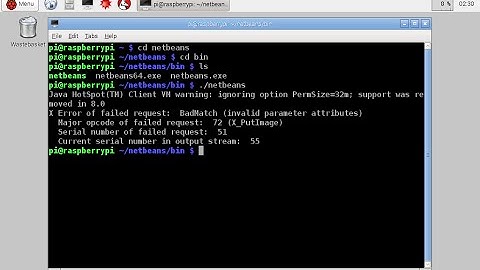 x Error of failed request: BadMatch (invalid parameter attributes)