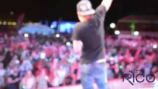 Download Lagu NATTY RICO | Regatta Festival (Saint Marteen) MP3