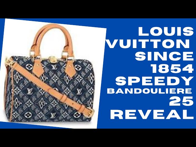Louis Vuitton Since 1854 Speedy Bandouliere 25 Gray – Fashion Life