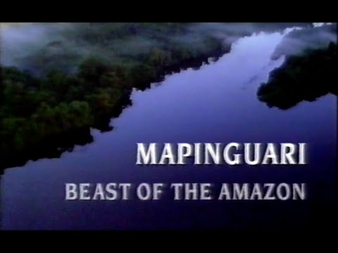 Video: Smelly Mapinguari - Horror Of The Amazon - Alternative View