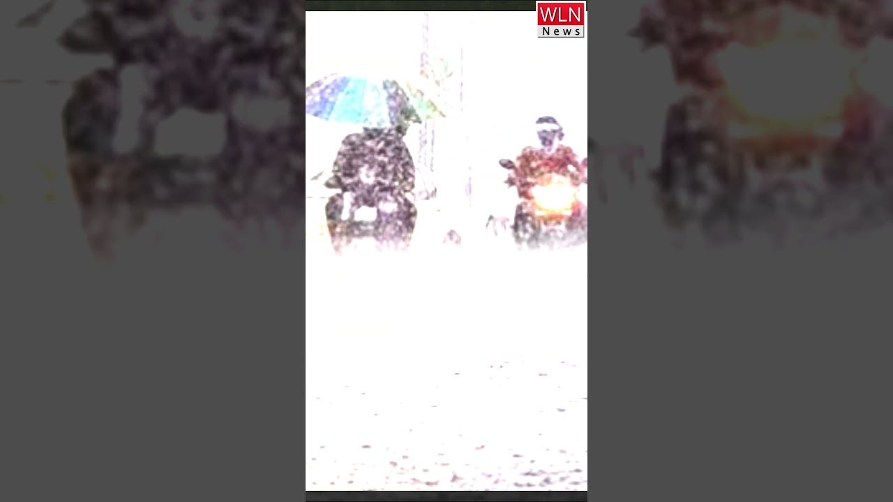 રાજ્યના 222 તાલુકાઓમાં છેલ્લા 24 કલાકમાં વરસાદ નોંધાયો. 