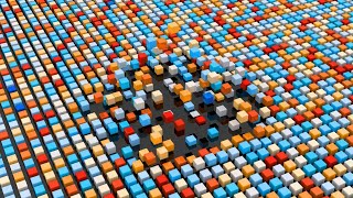 Is anything truly Random?  The Randomness of Life