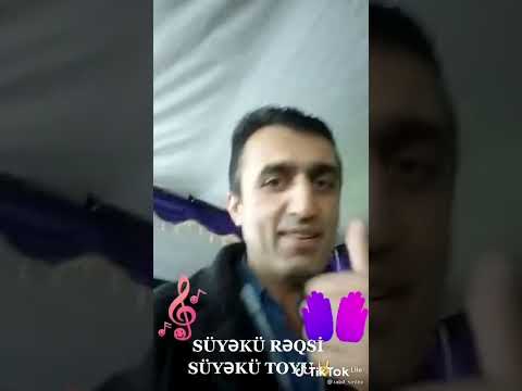 Rabil Sintez Gözəl Bir Süyəkü Rəksi