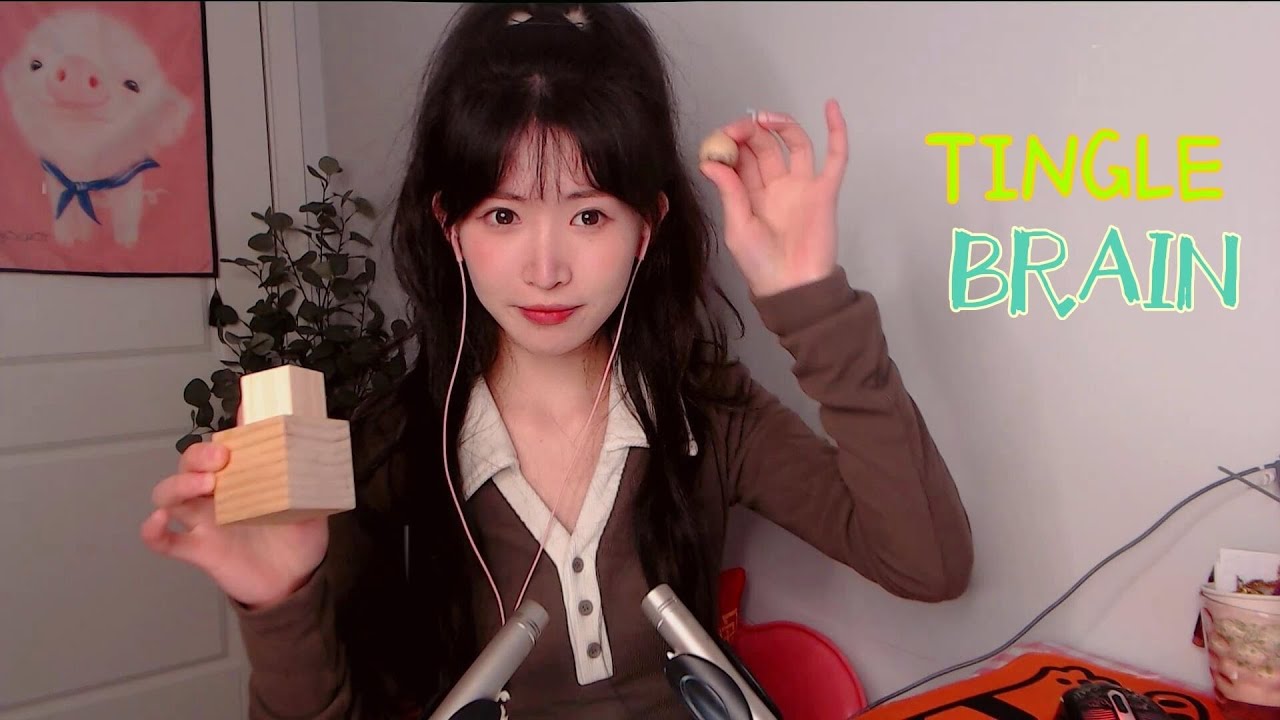 ASMR 免疫福星 舒爽度拉滿!純木塊刺痛觸發音!大腦敲擊|抓撓 Tingle Brain Massage,Wood Sounds