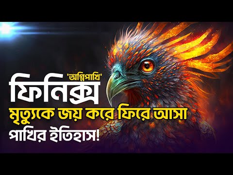 ভিডিও: ফিনিক্স এবং অ্যারিজোনার ঐতিহাসিক ফটোগ্রাফ