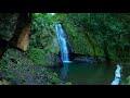 JAMAICA: Nature Hike to Hidden Waterfall near Kingston's Stony Hill.