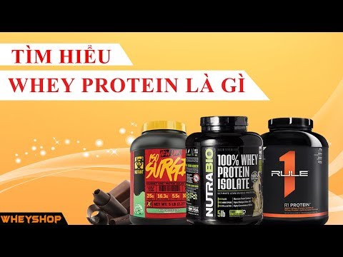 Video Whey Protein là gì ? tác dụng của whey protein ? whey... - youtube