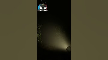 Lost in Corn Maze: Spooky Atmosphere & First Fork!