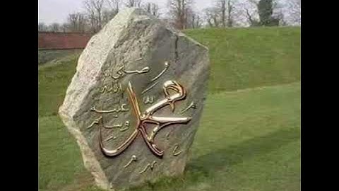 #صلوا_على_النبي #الله #تلاوة_خاشعة #المصحف #تلاوات #قران_كريم #لايك #تيك_توك #القرآن_الكريم #القرآن