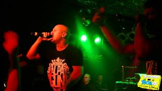 Alpa Gun - Tribut Live Punchlines Wien 5.6.2012