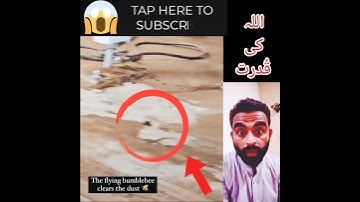Allah ki Qudrat❤️|#shorts #viralvideo#trendingshorts #shortsfeed