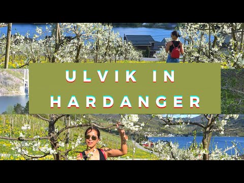 HARDANGER// ULVIK// WESTERN PART OF NORWAY