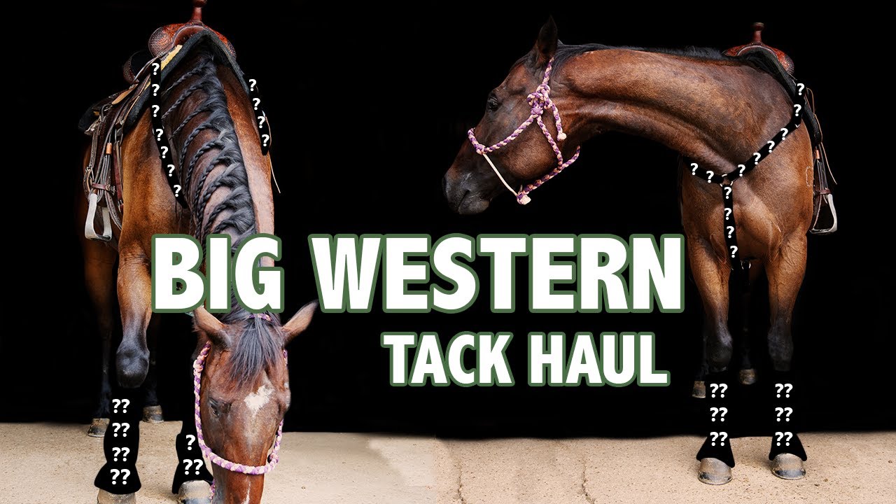 BIG WESTERN TACK HAUL Hot Headstalls YouTube