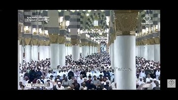 سورة الكافرون من صلاة التهجد المسجد النبوي الشريف على صاحبه أفضل الصلاة وأزكى التسليم ♥️