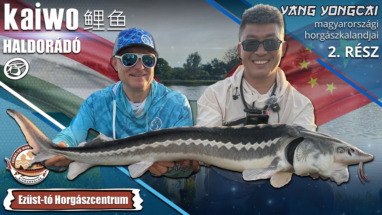 Yang Yongcai magyarországi horgászkalandjai 2. rész – Spiccbotos ponty- és tokhorgászat