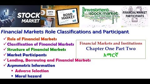 Financial Institutions & Market| Financial markets Role Classifications and Participant| አማርኛ