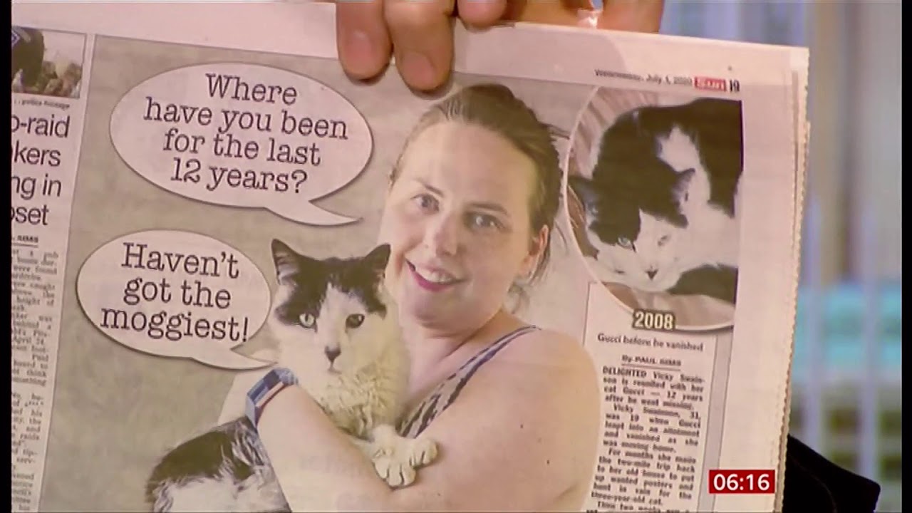 Gucci the missing cat returns home after 12 years (UK) - BBC News - 1st ...