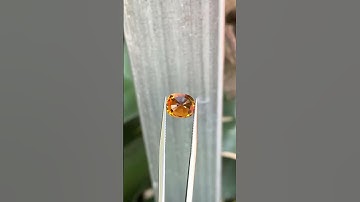 Tuocmalin vàng cực sáng đẹp #ruby #diamond #king #gem