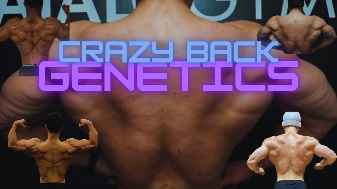CRAZY BACK GENETICS 🧬 WORKOUT MOTIVATION - YouTube