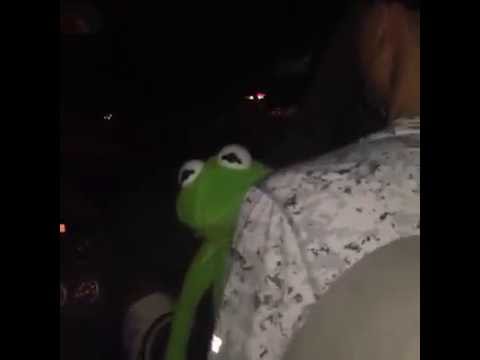 Kermit the frog as Usher (Vine)