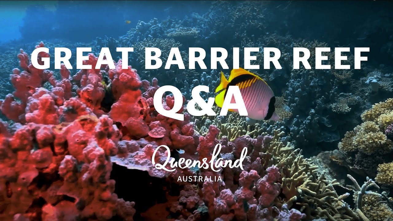 research questions about the great barrier reef