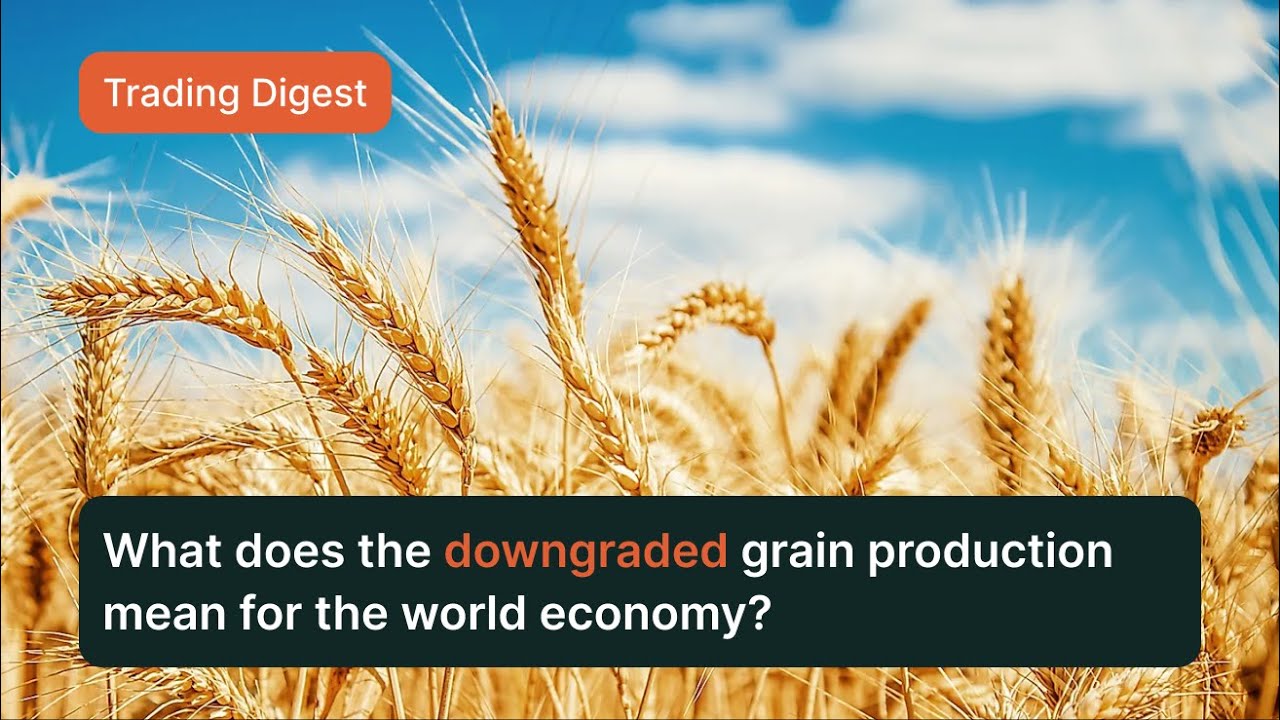 Pura's Weekly Trading Digest #2: Normalizing CME grain and softs ...