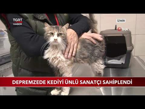 Depremzede Kediyi Haluk Levent Sahiplendi