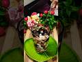 Healthy Habits By Nitesh Soni #shortsfeed #viral #ayurved #healthbenefits